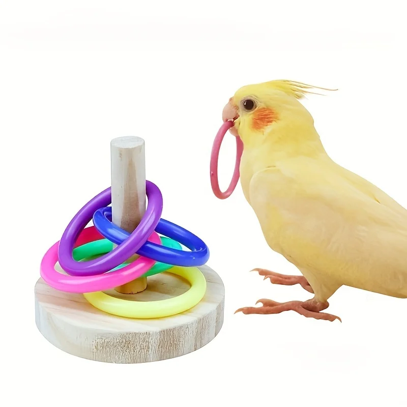 Interaktives Papageien-Ring-Sp – Gymnastic Ring Wood Bewertung und Preis